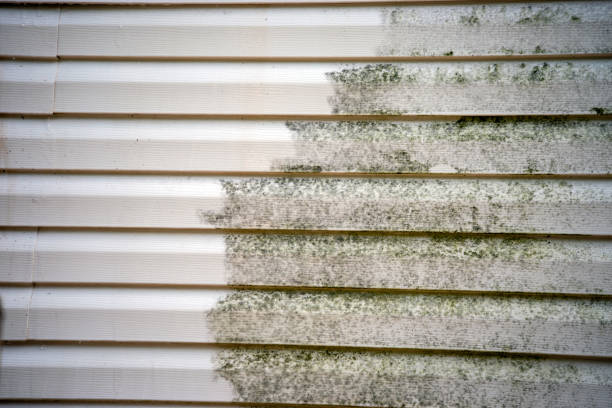 Custom Trim and Detailing for Siding in Five Points, OH