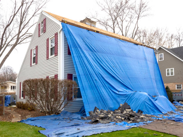 Best Siding Painting and Refinishing  in Five Points, OH